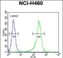 GNS Antibody (Center S298)